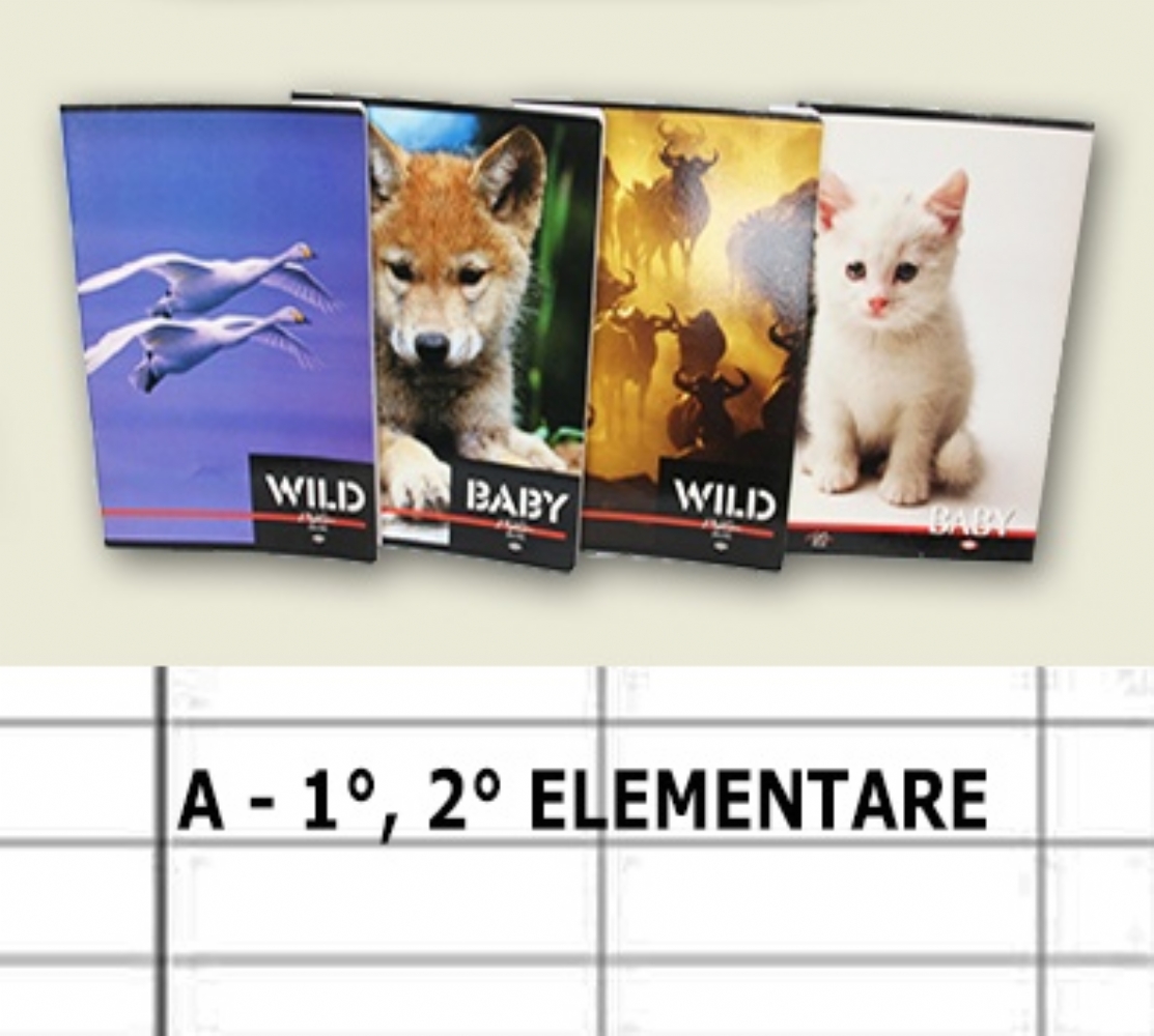 Quaderni A Righe Per Seconda Elementare