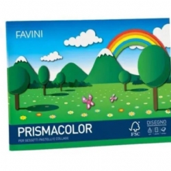 Blocco Album Disegno Prismacolor Favini 128gr 24x33 Lato Liscio e Ruvido 10 Fogli Colorati