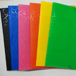 Cartellina Portadocumenti a 3 Lembi in Propilene con Elastico  Colori Assortiti