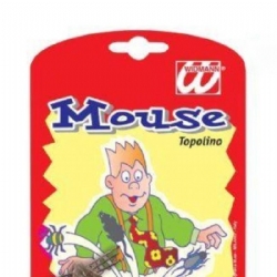 Scherzo Topolino Widmann Carnevale