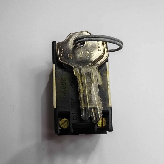 Ave Sistema45 45972 deviatore unipolare con chiave 16A 250V bianco chiaro - 2