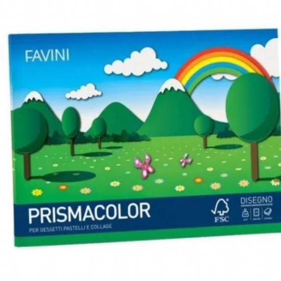 Blocco Album Disegno Prismacolor Favini 128gr 24x33 Lato Liscio e Ruvido 10 Fogli Colorati - 1