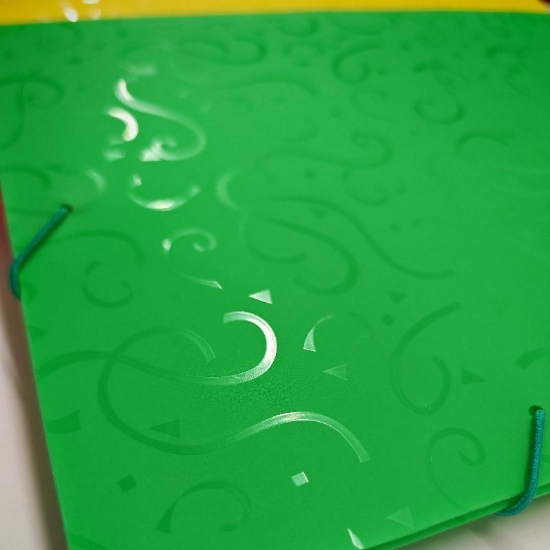 Cartellina Portadocumenti a 3 Lembi in Propilene con Elastico  Colori Assortiti - 2