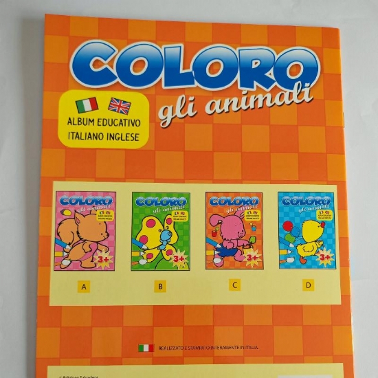 Coloro gli Animali Album Educativo Italiano Inglese Copertina Flessibile Salvadeos - 2