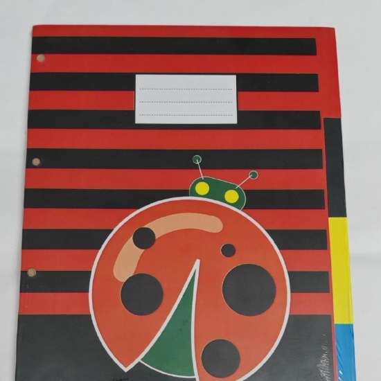 Divisori Fantasia Originale Teschio Coccinella Floreale Frutta Tatoo Linee Sport  in Cartoncino Colorato a 4 Tasti Formato A4 - 2