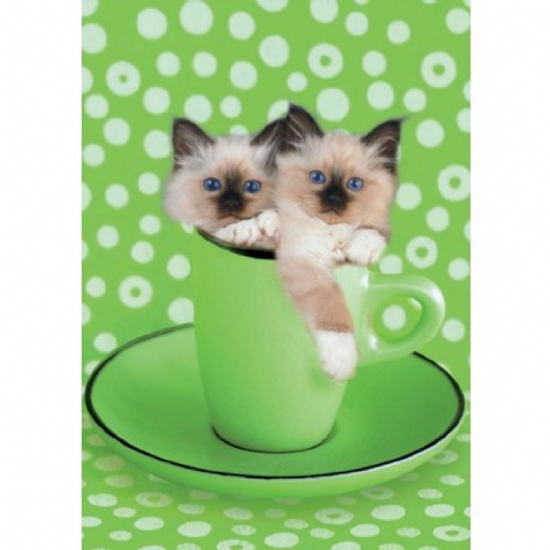 Educa 12039 - Puzzle 1000 pezzi - Due zuccherini - Gatti - Keith Kimberlin - 1