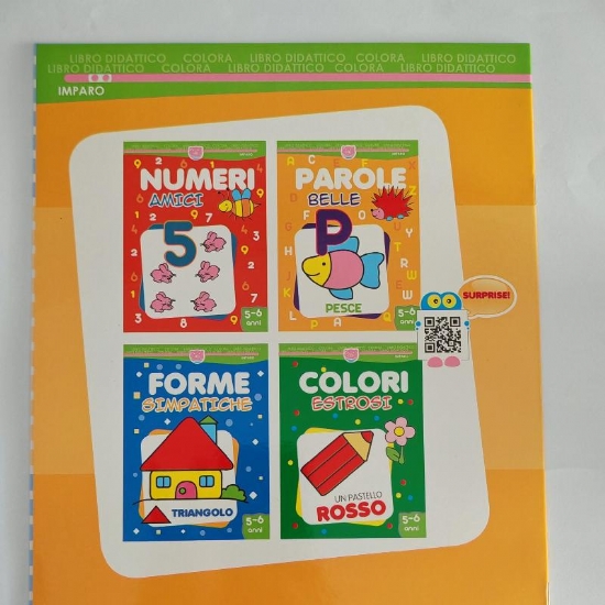 Libro Didattico Colora Parole Belle e Forme Simpatiche per Bamini dai 5 e 6 Anni Copertina Flessibile PigOn Salvadeos - 2