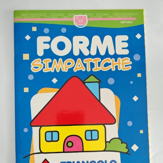 Libro Didattico Colora Parole Belle e Forme Simpatiche per Bamini dai 5 e 6 Anni Copertina Flessibile PigOn Salvadeos - 2