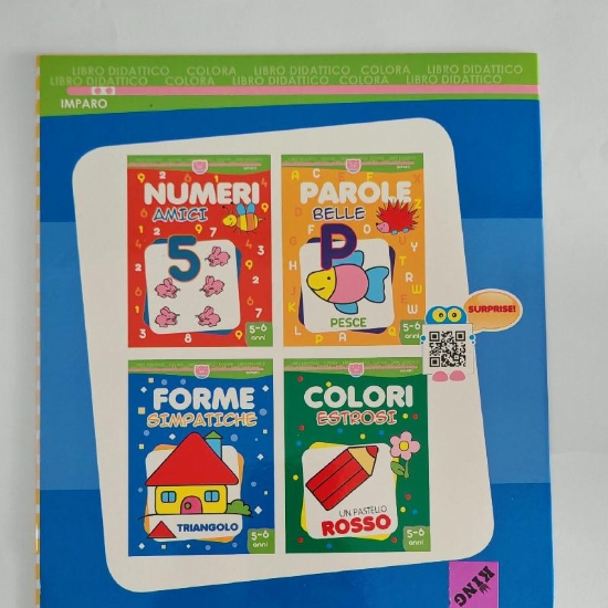 Libro Didattico Colora Parole Belle e Forme Simpatiche per Bamini dai 5 e 6 Anni Copertina Flessibile PigOn Salvadeos - 2